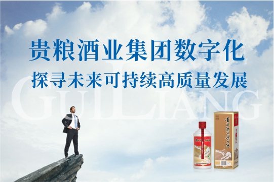 贵粮酒业集团数字化，探寻未来可持续高质量发展